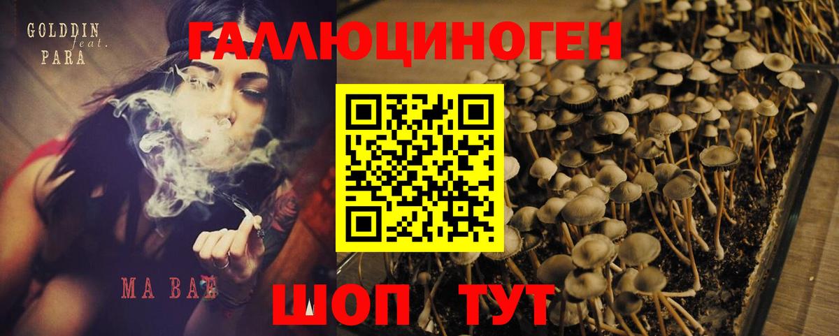 Красноуфимск  Галлюциногенные грибы Magic Shrooms  Вход с VPN  Псилоцибиновые грибы Cubensis 